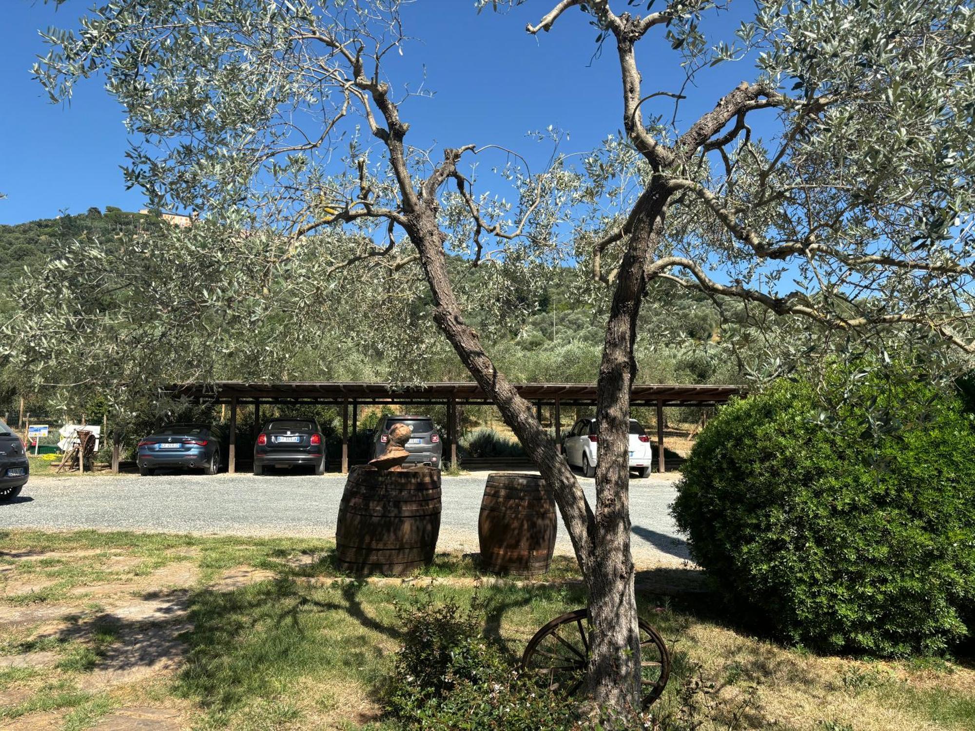 Nonna Nara Bed & Breakfast Grosseto Luaran gambar
