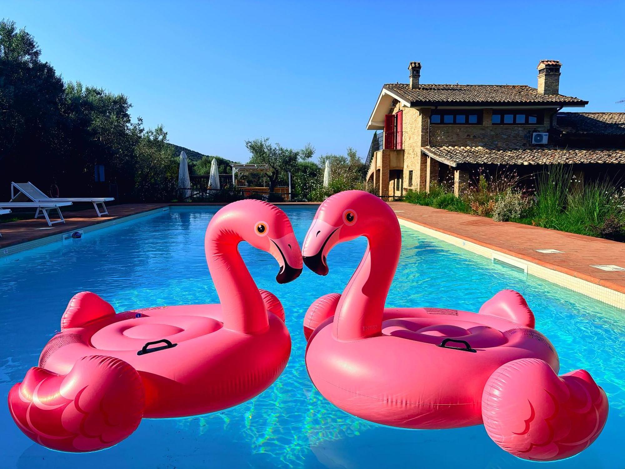 Nonna Nara Bed & Breakfast Grosseto Luaran gambar