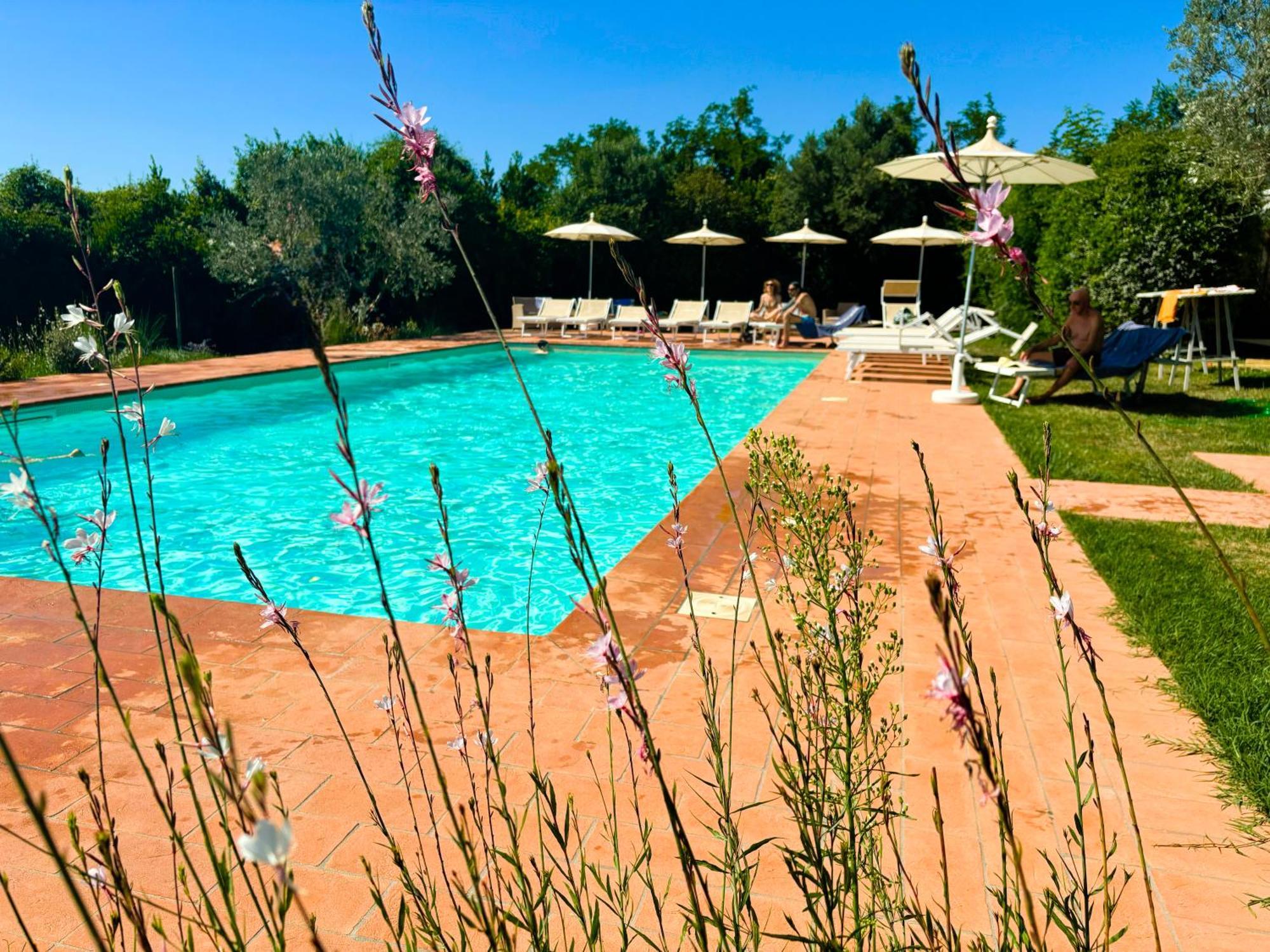 Nonna Nara Bed & Breakfast Grosseto Luaran gambar