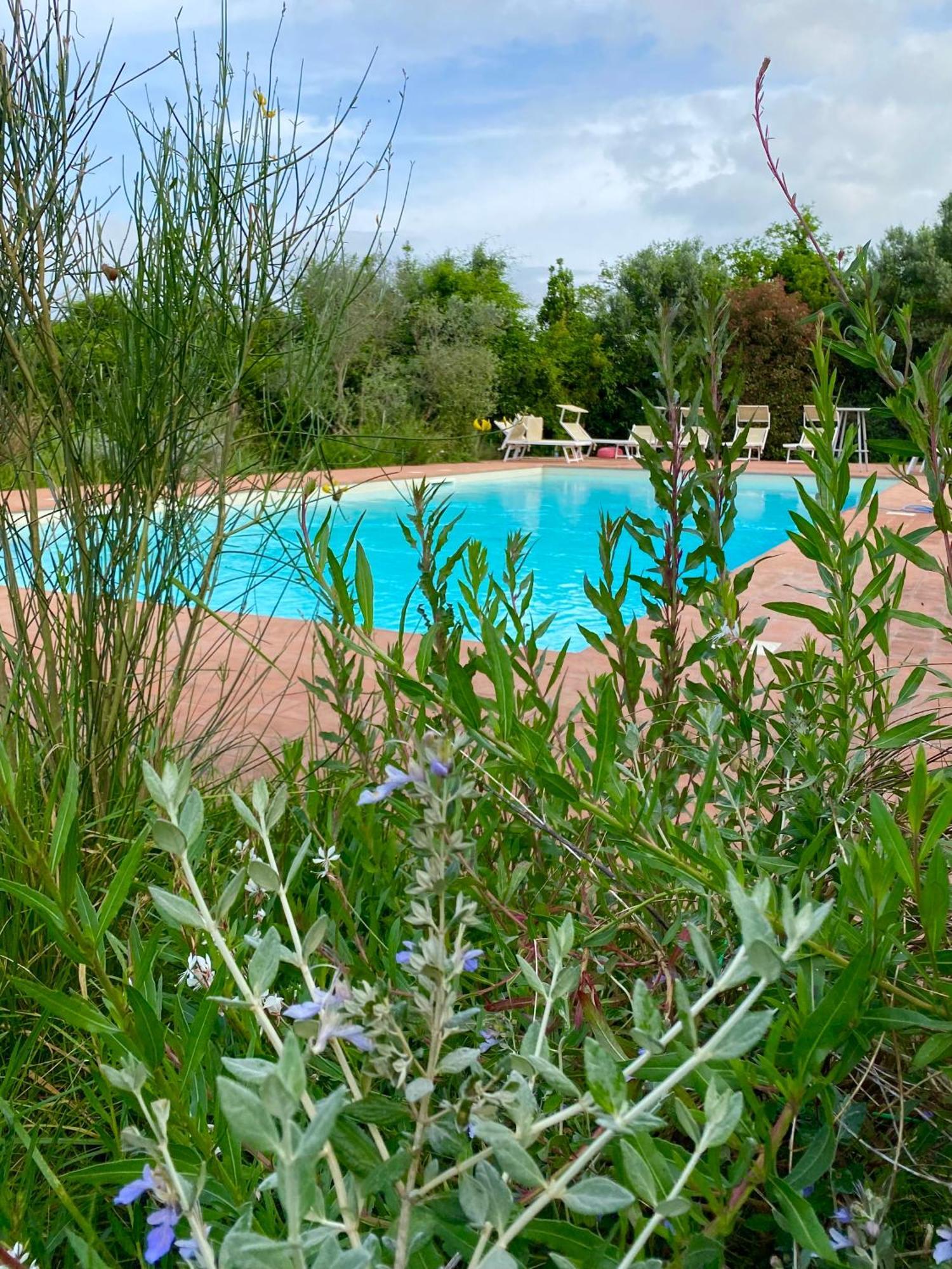 Nonna Nara Bed & Breakfast Grosseto Luaran gambar