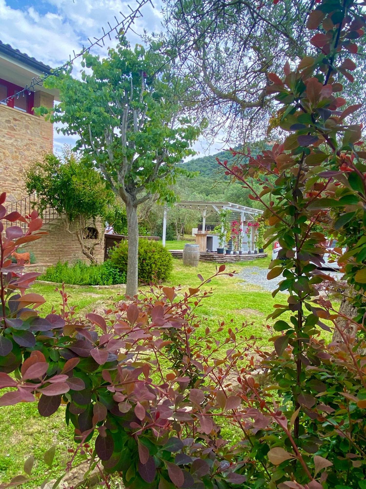 Nonna Nara Bed & Breakfast Grosseto Luaran gambar